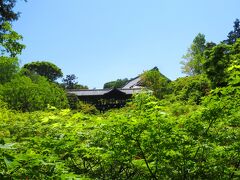そして東福寺に到着
