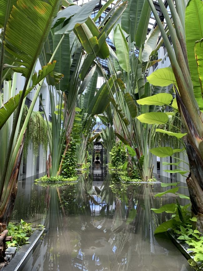 ホテル内も散策。館内にこんなステキな場所があります。