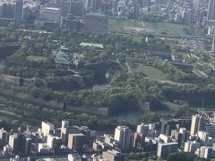 順調に飛行、大阪城が見えてきた～。

大阪マラソンも出てみたい！
今の走力で、完走できるかは不明ですが。。。(笑)
