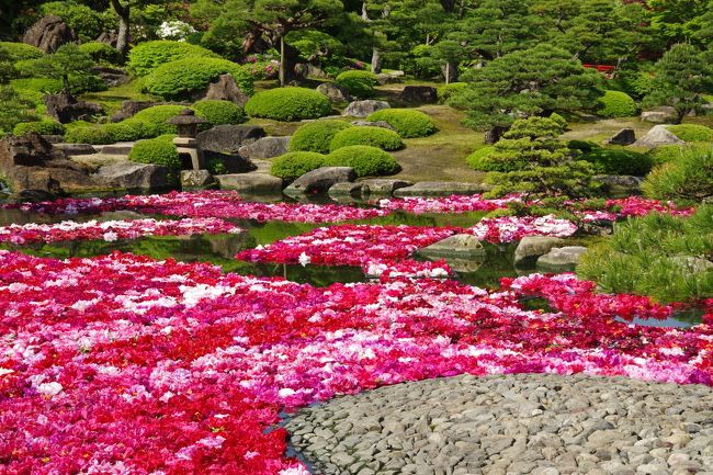 島根県中海に浮かぶ大根島の由志園 牡丹の園へようこそ 美保関 大根島 島根県 の旅行記 ブログ By ミズ旅撮る人さん フォートラベル