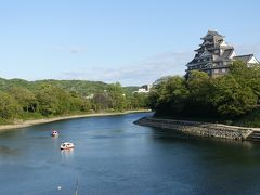 岡山城から後楽園にむかって、橋を渡っているところ。

ん？！白鳥じゃない！