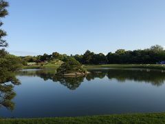 後楽園に入りました。例年はそろそろサツキが咲いてくるのですが、今年は少し寒いので、花は少な目。でも、緑がきれいです。