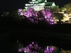 岡山城 烏城灯源郷