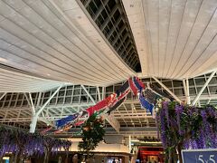 羽田国際空港にやってきました。鯉のぼりと藤が日本の季節を感じさせてくれます。
出国ラッシュ日をずらしてみたものの、とはいえGW中だしどうせ混んでるでしょと思いきや
ﾁｪｯｸｲﾝｶｳﾝﾀｰにもまったく人が並んでおらずちょっと拍子抜け。
