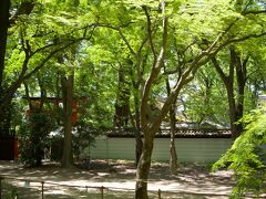 【下鴨神社】河合神社
　ただすの森の中にある河合神社も新緑が綺麗です。河合神社は下鴨神社の摂社の一つです。