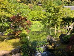 【永観堂】
　モミジの永観堂として有名な永観堂は南禅寺の北、哲学の道の南端の近くにあります。京都駅やん河原町駅、三条京阪駅からは市バスの5番に乗って南禅寺永観堂のバス停で降ります、