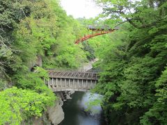 八ツ沢発電所一号水路橋 
名勝猿橋の東側にある水路橋。
延長63.63m、幅5.45mで構造は鉄筋コンクリートで、水路橋にお両水門には駒橋の発電施設と同様に赤レンガが使用されている。
