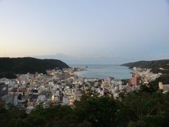展望広場からの眺めです。
奄美大島で最も大きい名瀬の街。

展望広場から市街地を眺めると名瀬湾を囲むように山すそまでギュッギュとひしめく街の姿が見えます。