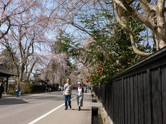 武家屋敷通りを歩きます。
昼過ぎで、混雑するのはこれからですね。