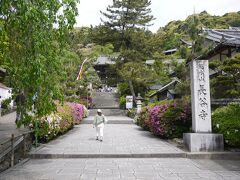 西国三十三所
長谷寺
