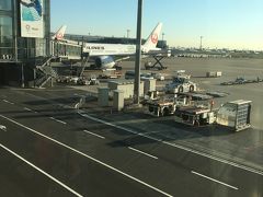 やっと日本到着！
はあ、母は疲れた( ；´Д｀)