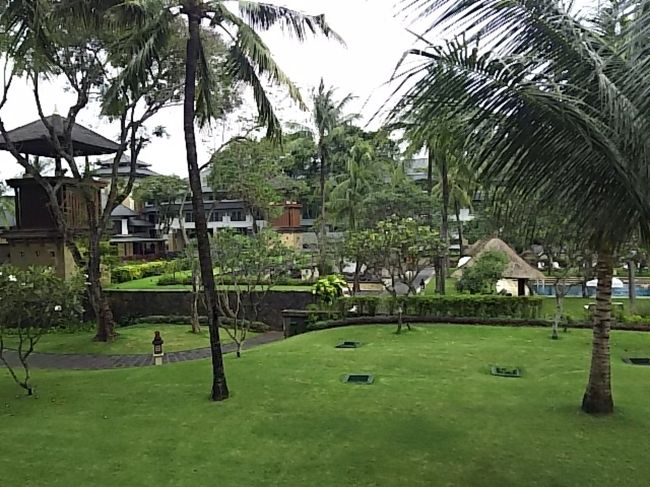 バルコニーからの眺め。