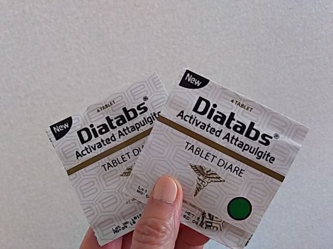 成分とか読んでコレってキツめのお薬のような気がして<br />ネットで「インドネシア  腹痛  薬」で検索して<br />次の日にこっちも購入。<br />こっちを２回ほど飲みました。<br />夜、お腹は空いていたけれど、レストランにいくほどではなかったので空港ラウンジから持ってきたドーナツと機内で配られたナッツを食べて就寝。