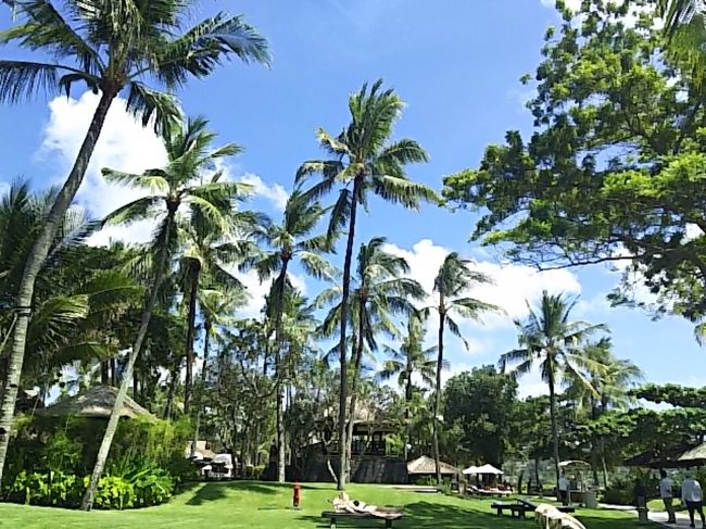 ビーチに出かけますよ。<br />