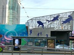 クイーンビクトリアマーケットの後は、
シーライフ　メルボルン水族館へ行きました。