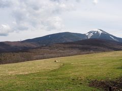 朝ドラ「なつぞら」の牧場を、孫に見せたくて蓼科第二牧場にやって来ました。
でも、肝心の牛が見当たりません。聞くと、この時期はまだ麓の酪農家の牛舎にいて、放牧は来月中旬からとのこと。