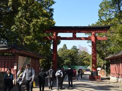 大宮 氷川神社さんの鳥居と参道を見ます。
（平日ですが参拝の人々が多いです）