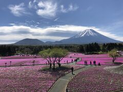 【富士芝桜まつり】
河口湖駅から芝桜ライナーという臨時バスに乗って富士芝桜祭に行って来ました。