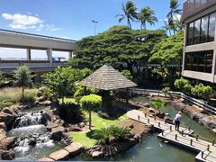 日本庭園風の中庭がありました。