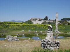 続いては、アルテミス神殿跡。
こちらも徒歩圏内、無料で入れます。

今では、1本の柱と土台が部分的に残るだけとなった、かつての世界七不思議の一つ。