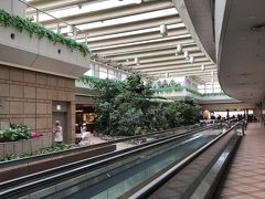 羽田空港第一ぬーみなるビル内の風景
11番から14番スポットに向かう動く歩道と緑の空間