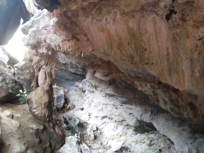 鍾乳洞っぽい景色です。一応滑って落ちないように気を付けながら下ってゆきます。