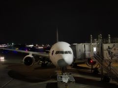 今回の旅のきっかけは東京～福岡間のＪＡＬのファーストクラスの航空券が往復ともに手が届く料金で取れたこと！
ＧＷだったので満席でしたが、快適に過ごせました(^_-)-☆。