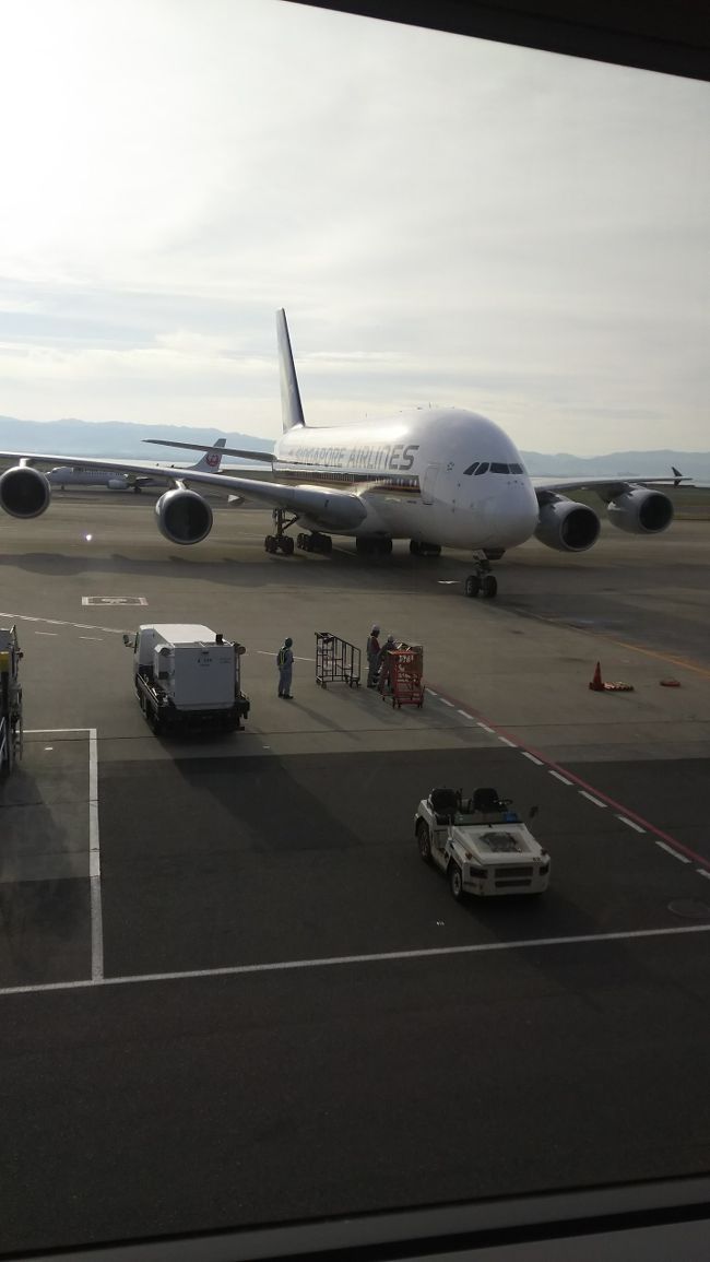 途中見たシンガポール航空。もう、２０年以上乗っていません。ワンワールドなら、絶対乗っているのに。<br />マイルのために、色々と選択肢が狭まります。