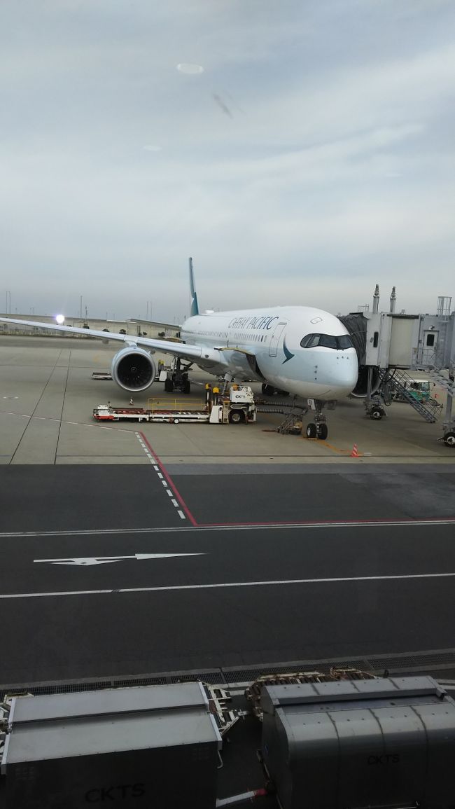 これが私たちの乗る、CX５９７便です。