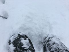 3日目朝パウダーで、膝まで雪が埋まりました。