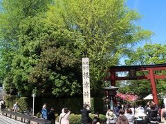 根津神社
朝からかなりの人出。境内奥には露店も並び縁日のよう。