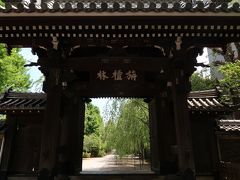 吉祥寺の山門
武蔵野市にはない「吉祥寺」に由来するお寺。
参道には枝垂桜の枝がなびいている。