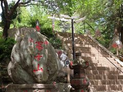 富士神社の「駒込富士」
階段を登ると本堂と花畑がある。