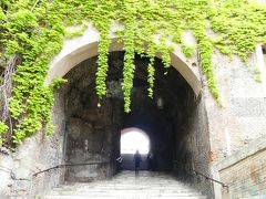 今日これからは、昨日アパートの大家さんに教えてもらったスポットをいくつか巡ることにします。
まずはボルジア階段。ジョヴァンニ・ランツァ通りからサンピエトロインヴィンコリ教会につながる階段です。
垂れ下がるシダの緑とトンネルの闇のコントラストが素敵です。
さすが地元民、いい場所を知っています。