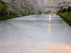 GW初日は弘前へ。
東北自動車道をドライブ。道沿いに咲いた桜が綺麗でした。
18時過ぎに弘前城へ到着。雪のち雨のお天気のせいか、GWの割には混雑しておらず、近くの500円の駐車場に車を止めることが出来ました。

弘前公園は至る所に桜が咲き誇り、圧巻でした。
こんなに綺麗に桜が咲いている所を見るのは初めてで、
東日本ナンバーワンの桜と言っても過言では無いかもしれません。