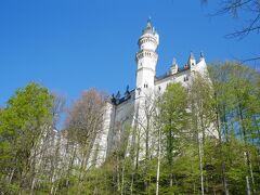 もう間に合わなくてもいいと思えるくらい坂道が辛くて。でも上を見上げると城がもうすぐそこまで見えました。あーやっと着いたと思って感動してたらまた坂が・・・。馬鹿野郎