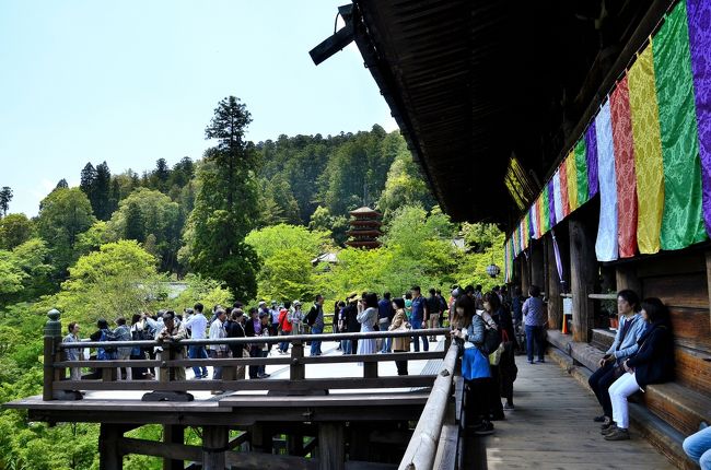 あをによし 隠国の泊瀬逍遥④長谷寺<後編>エピローグ』桜井 あをによし 隠国の泊瀬逍遥④長谷寺<後編>エピローグ』桜井
