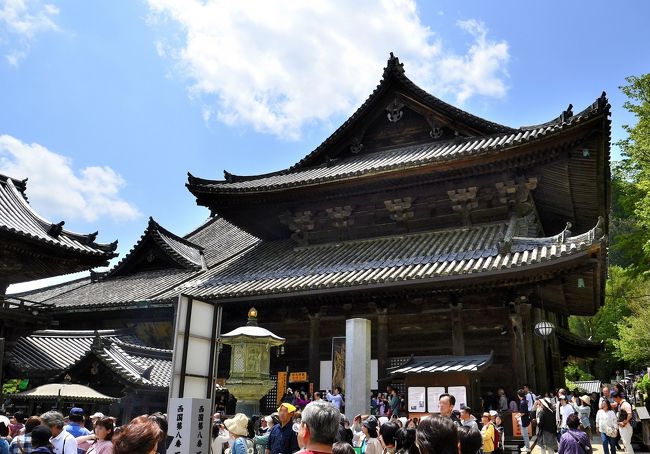 あをによし 隠国の泊瀬逍遥④長谷寺<後編>エピローグ』桜井 あをによし 隠国の泊瀬逍遥④長谷寺<後編>エピローグ』桜井