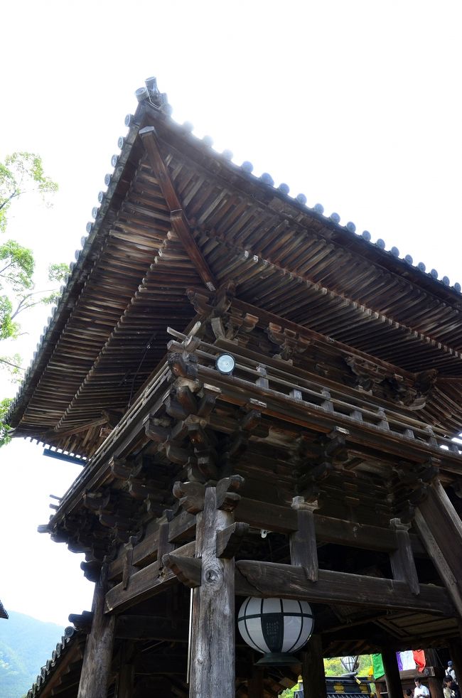 あをによし 隠国の泊瀬逍遥④長谷寺<後編>エピローグ』桜井 あをによし 隠国の泊瀬逍遥④長谷寺<後編>エピローグ』桜井
