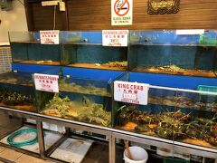 夕食はオーキッドリア・シーフード・レストランです。ビンタン島のThe Kelong Seafood Restaurantに味は負けますが、めちゃ安です。味が負けてるのはライブではないのが理由です。