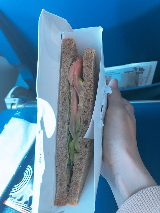 帰りもエアバスA319でした。機内食は再びサンドイッチ。ビーフか、フィッシュか選べました。行きは肉で失敗したので今回は魚を選んだところ大正解！サーモンでした。ちなみに同行者は肉を選び、失敗していました。