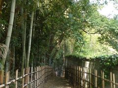 竹林が