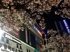 富平駅に近い東横イン（右奥に見えているのがホテルのネオン）に2泊。
桜が満開でのんびり見たかったけれど、初日から飛ばすのは控えて早めに就寝しました。

