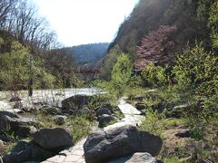 豊平川沿いを歩いてみます。
一昨日の雨で川が濁ってる・・・。
きっと綺麗な水なんだろうな！