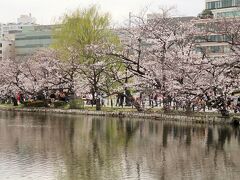 都内桜名所10　上野恩賜公園　不忍池・桜めぐり　　44/　　　17