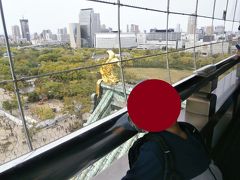  天守閣に入城しました。内部は大阪城に関する文化財を展示した博物館になっています。
 小学生の入城は無料でした。