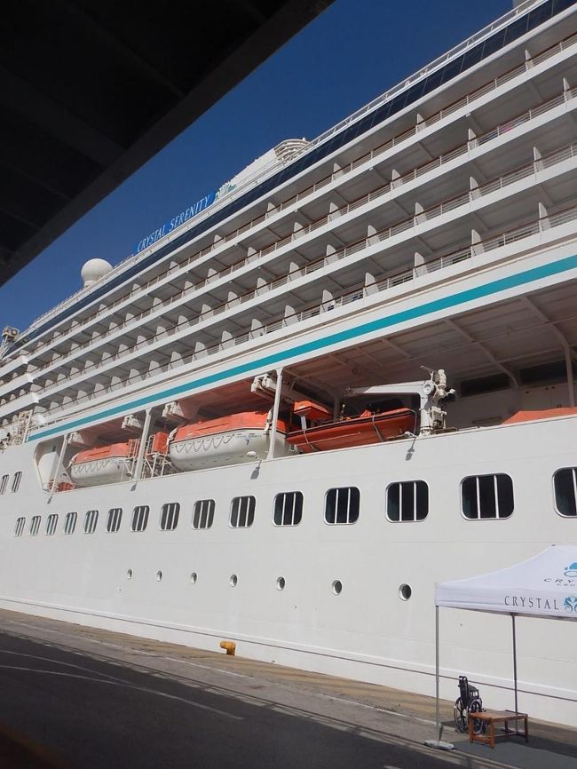 白と青を基調とする大きな旅客船です。<br />大体９００～１，０００人収容しスタッフが５００～６００人ぐらいのスタッフが乗りこんでいます。