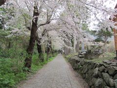 桜のトンネルになっており、きれいでした。