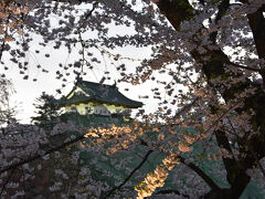 弘前城と桜。