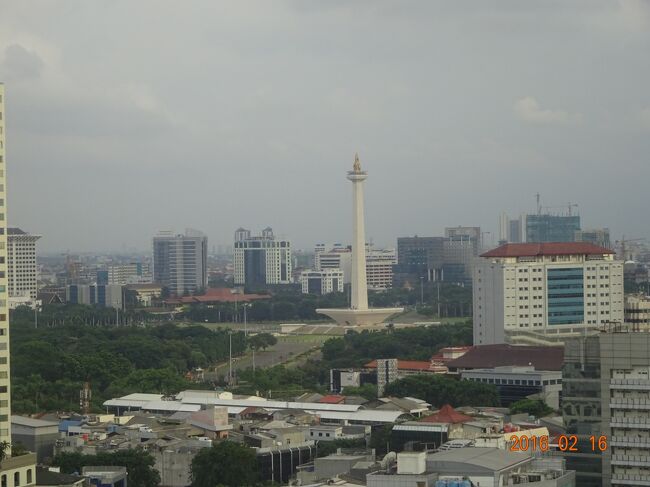 遠くからもモナスが見えます